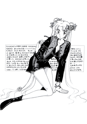 Tsukino Usagi
USAGI-00-000000-0
Infinity Artbook
