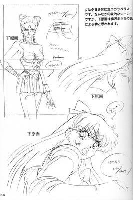 Sailor Venus
Sailor Moon Soldier IV
Hyper Graphicers - 1995
