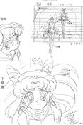 sailor-moon-soldier-iv-32.jpg