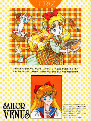 Aino Minako
By Tohru Mizushima
September 19, 1993
