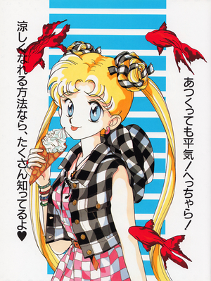 Tsukino Usagi
By Tohru Mizushima
September 19, 1993
