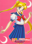 sailor-moon-french-dvd-boxset-06.jpg