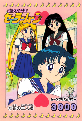 Usagi, Ami, Rei
No. 73
