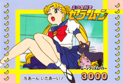 sailor-moon-pp2-28.jpg